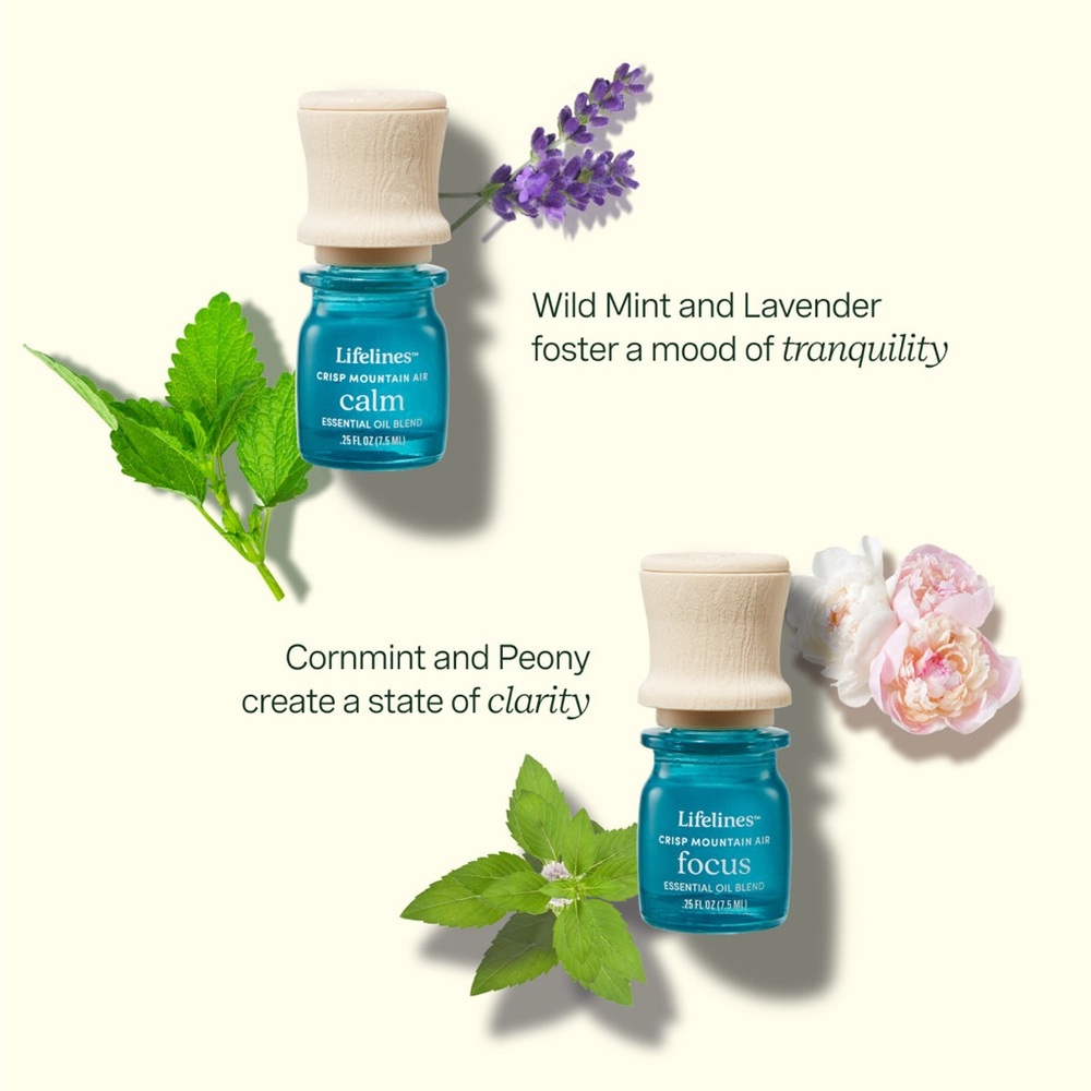 Essential Oil Blends Set - Crisp Mountain Air - Picture 6 of 6